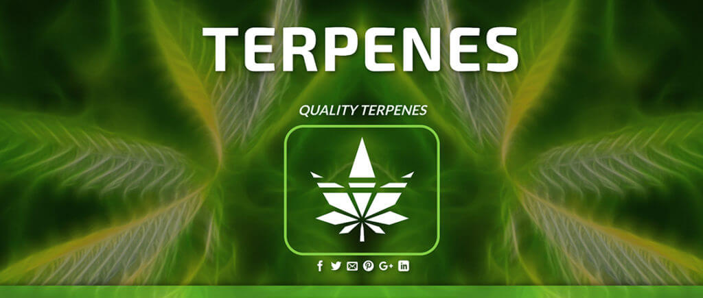 awesome terpenes